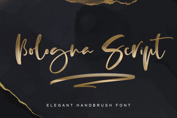 Why Bologna Script Feels Like Handwriting, But Works Like a Pro